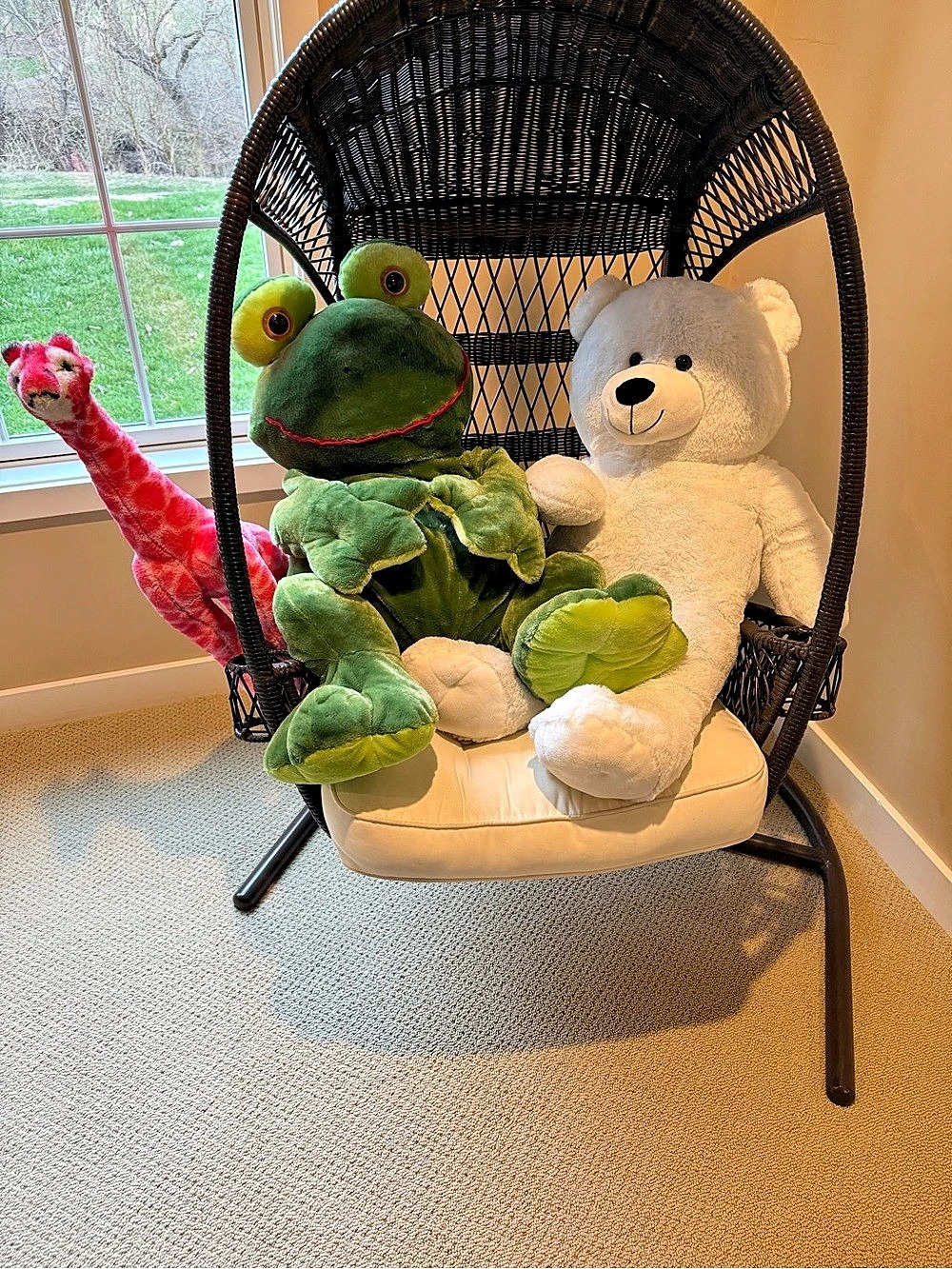 Extra large white teddy bear- like new!